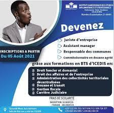 Institut Camerounais des Etudes Diplomatiques et Stratégiques