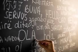 THEORETICAL LINGUISTICS