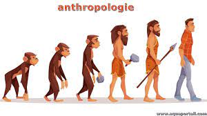 ANTHROPOLOGIE