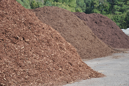 TECHNOLOGIE DES BOIS ET FIBRES
