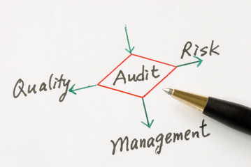 AUDIT ET CONTRÔLE DE GESTION