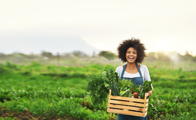 AGRIBUSINESS PROJECT MANAGEMENT