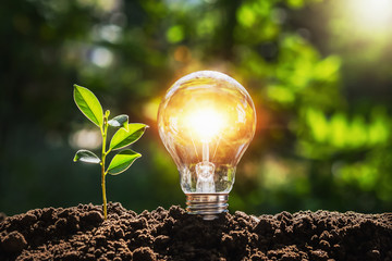 ECONOMIE D ENERGIE ET ENVIRONNEMENT