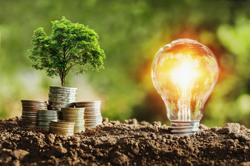 ECONOMIE DES RESSOURCES DE L ENVIRONNEMENT