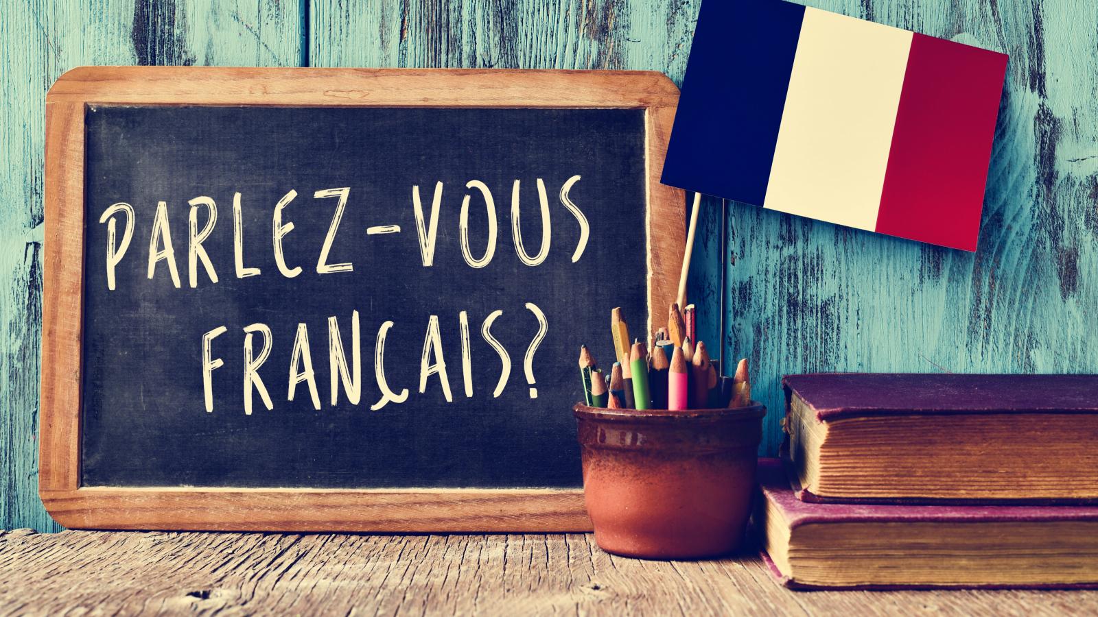 FRENCH LANGUAGE
