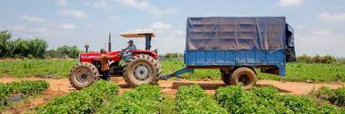 VULGARISTION AGRICOLE INNOVATION ET DEVELOPPEMENT