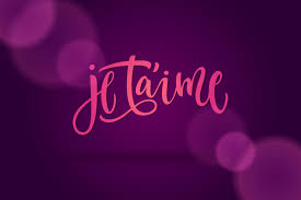 FRENCH MODERN LETTERS
