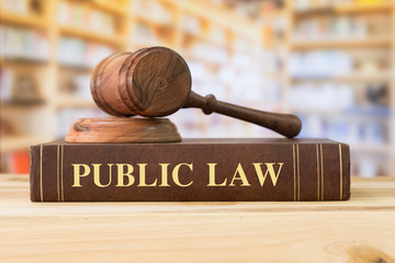 DROIT PUBLIC PUBLIC LAW